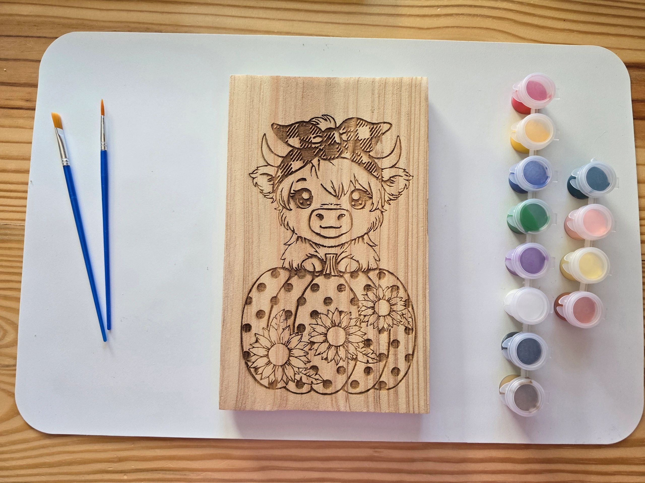 Highland cow paint kit project