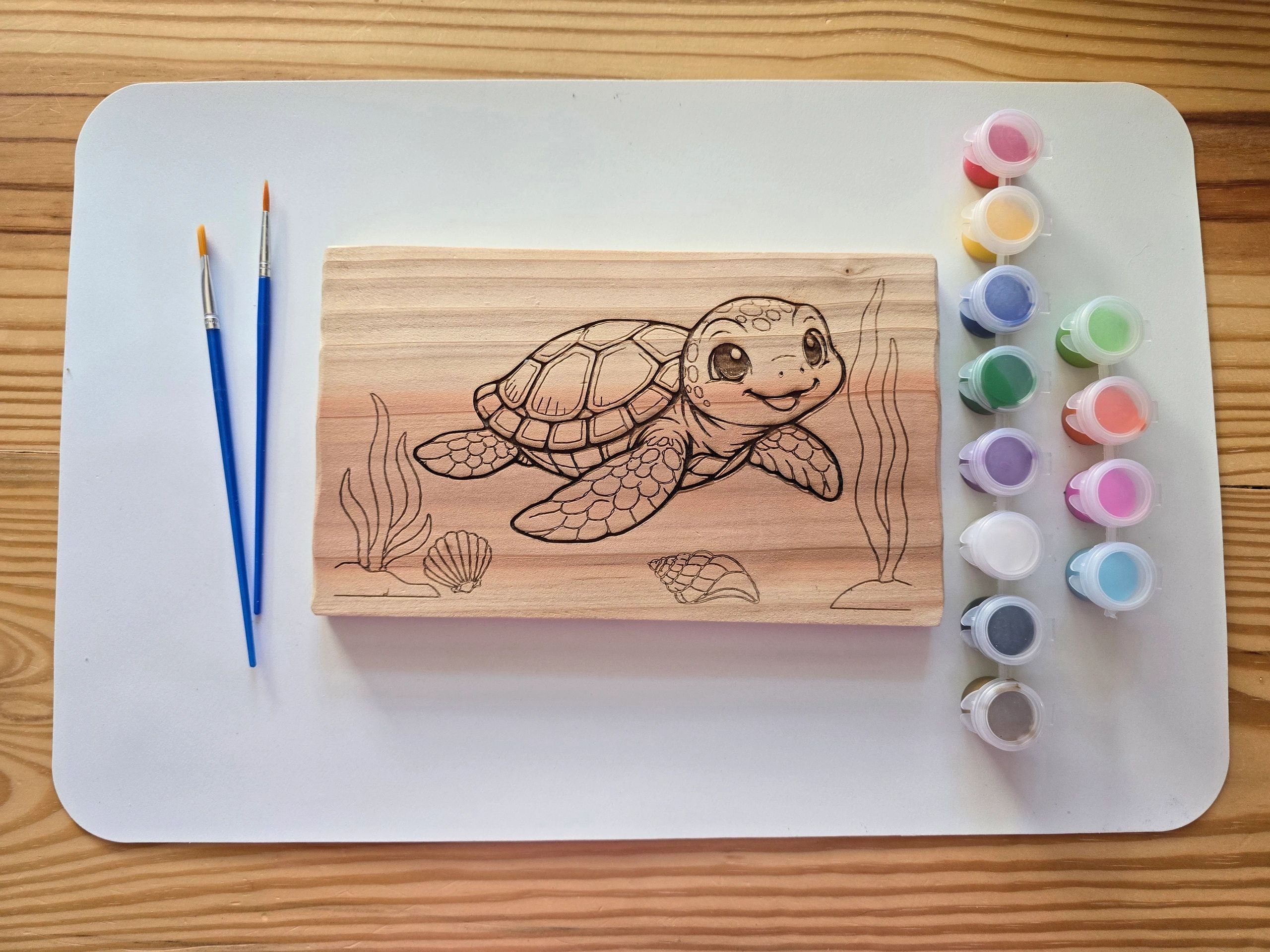 Sea turtle paint kit project
