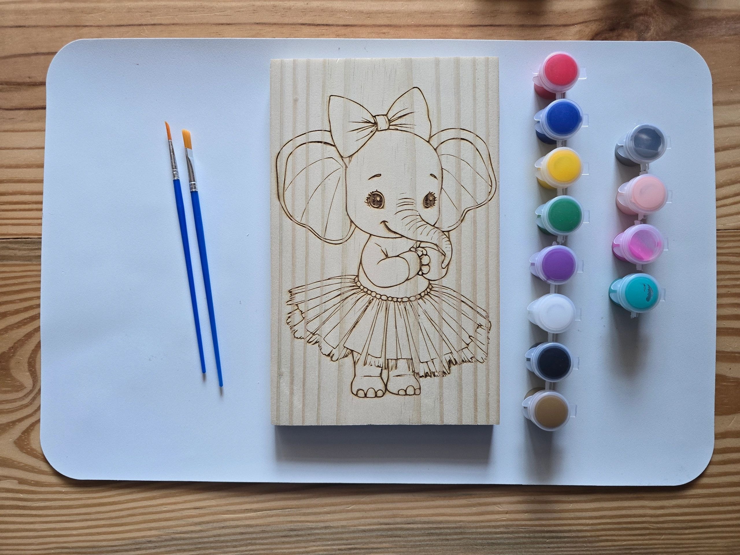 Elephant paint kit project