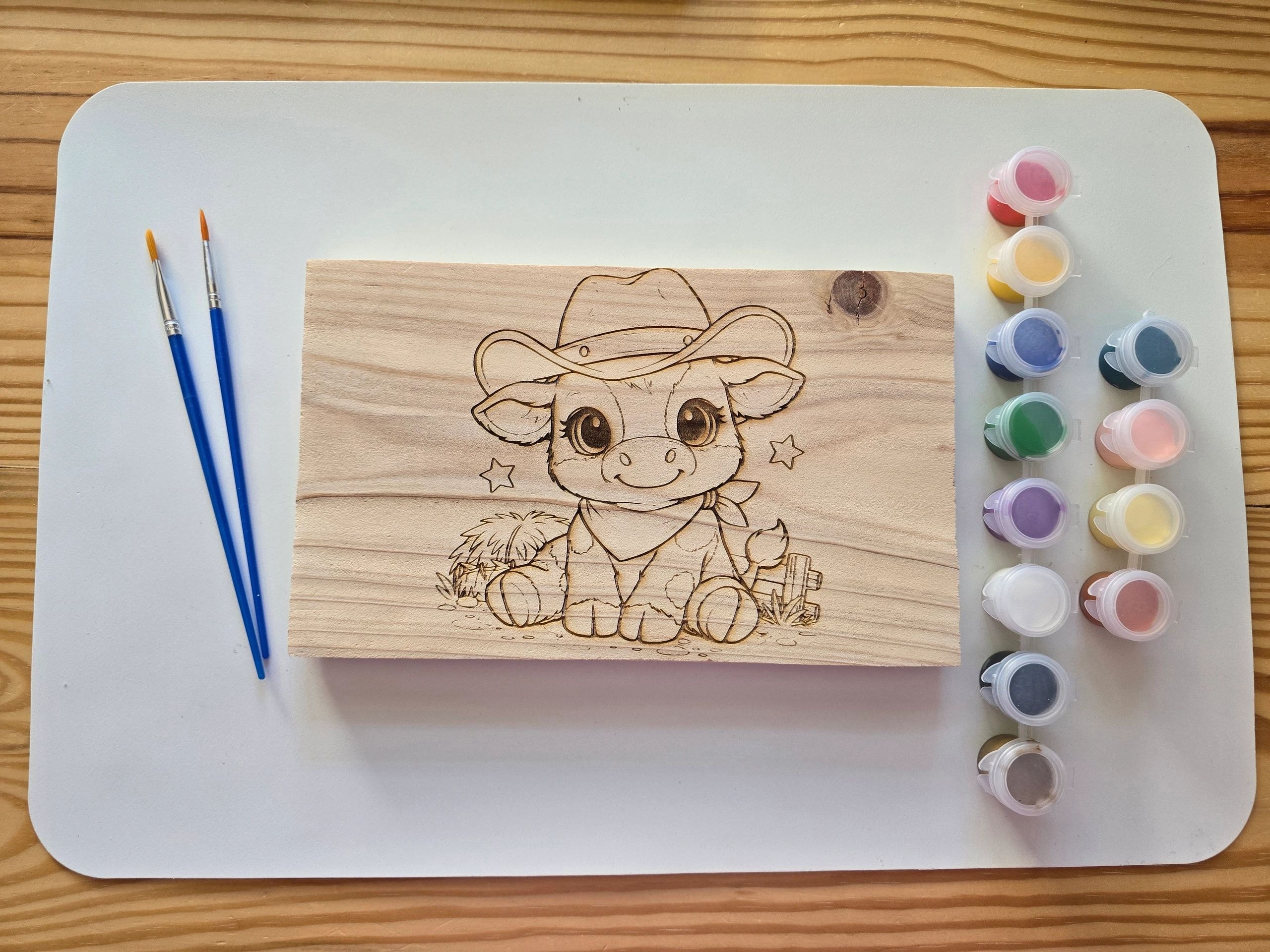 Wood paint kit project